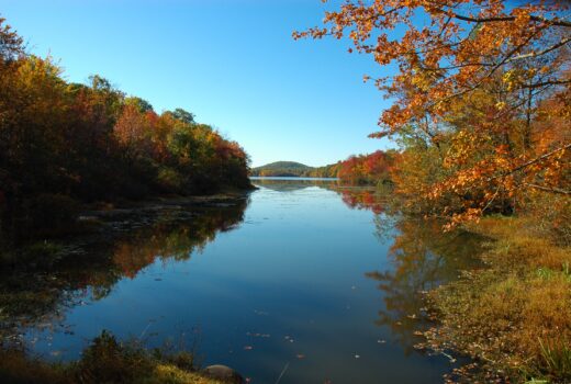View of Lake